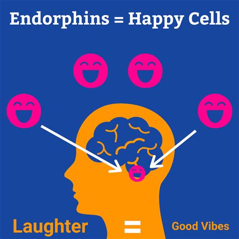 Endorphins .
